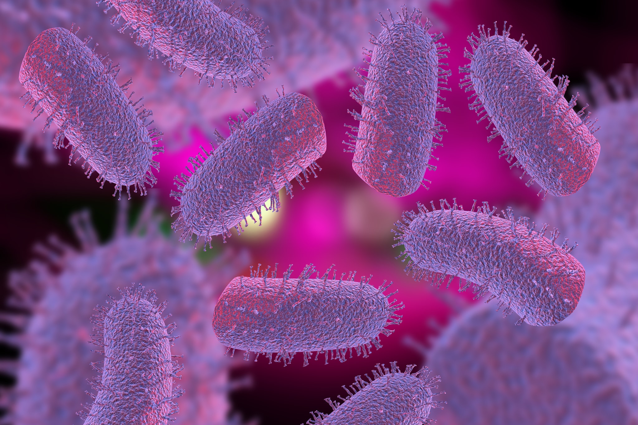 Image of Rabies virus microscopy image