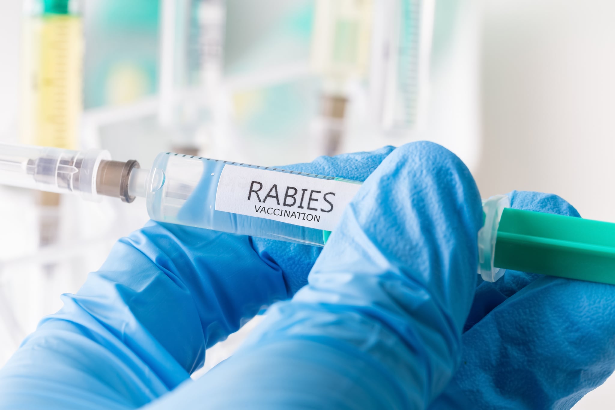 A hand with a medical glove holding a vaccine syringe labeled rabies