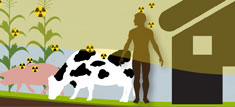 Radiation can affect people, plants, and animals.