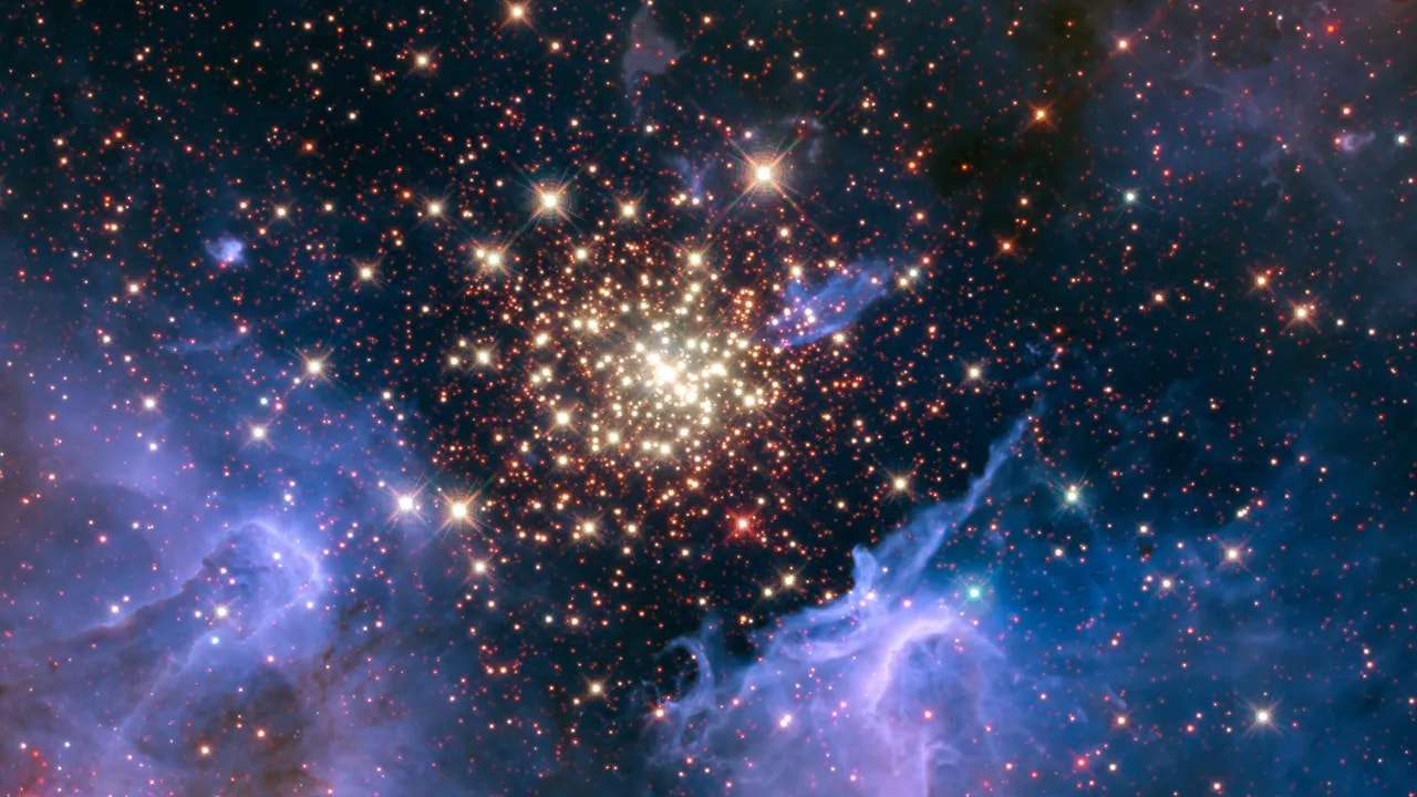 A cluster of massive stars seen with the Hubble Space Telescope. Credits: NASA/U. Virginia/INAF, Bologna, Italy/USRA/Ames/STScI/AURA