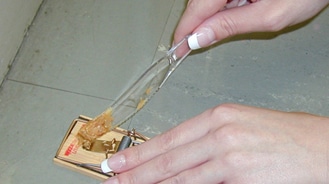 person putting peanut butter on a mouse trap