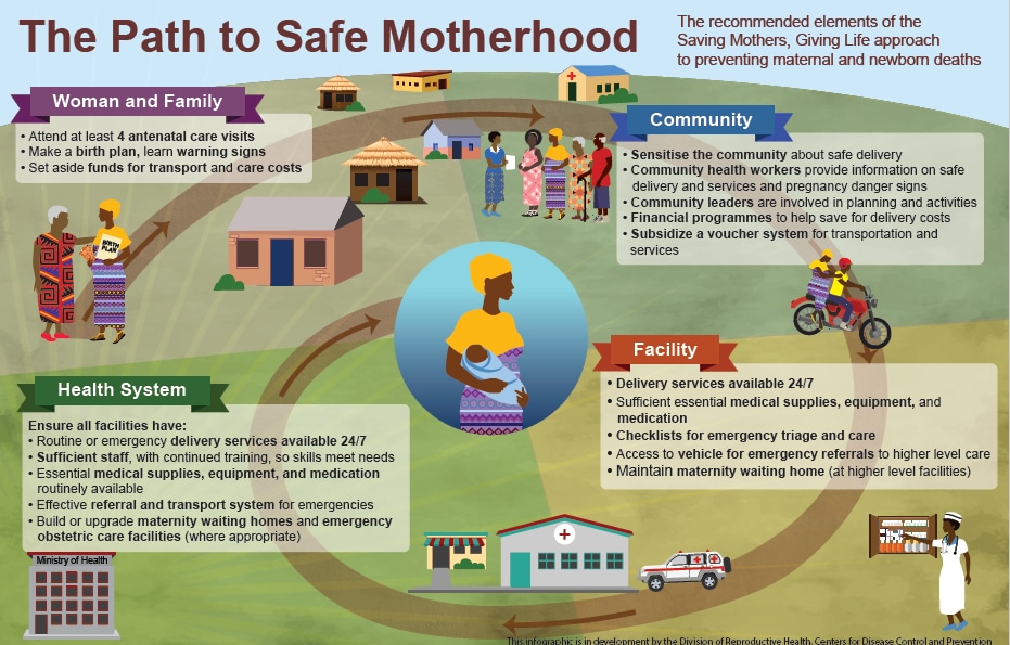 Path to Safe Motherhood infographic