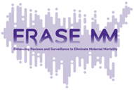 The Enhancing Reviews and Surveillance to Eliminate Maternal Mortality (ERASE MM) Program supports agencies and organizations that coordinate and manage Maternal Mortality Review Committees.