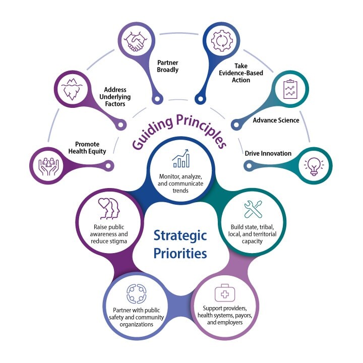 6 Guiding Principles and 5 Strategic Priorities to address overdose crisis