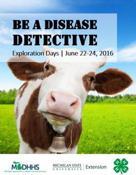 Disease Detective posters.