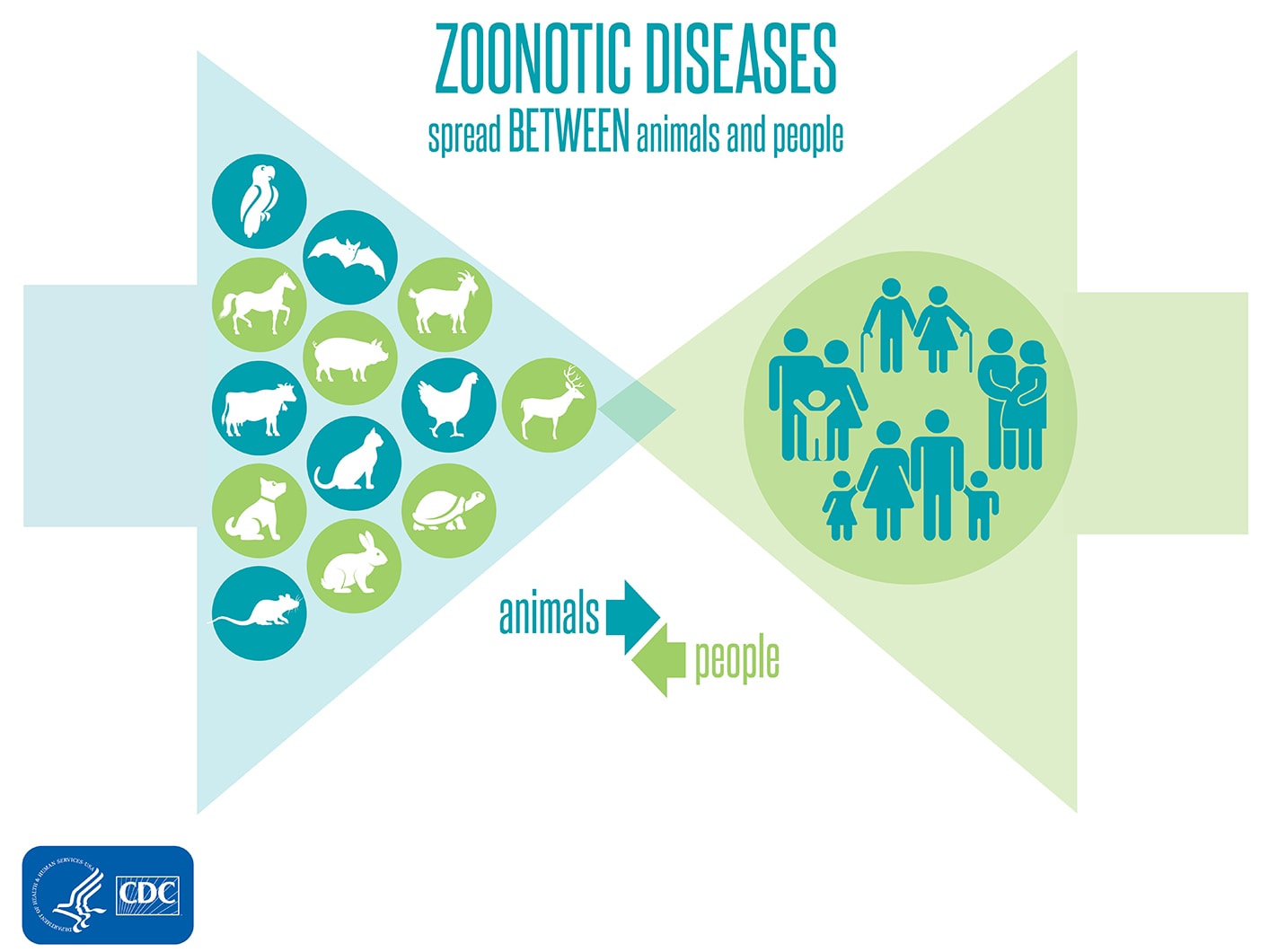 Zoonotic Disease infographic.
