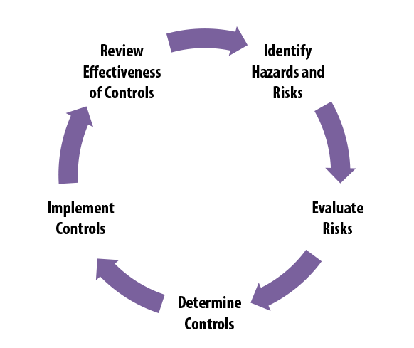 Illustration of the risk management process, a cycle that follows the steps listed on this page. 