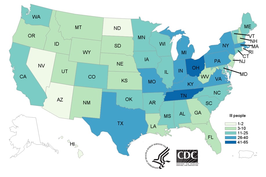 People infected with the outbreak strains of Salmonella, by state of residence, as of July 16, 2019