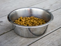 Bowl of Dry Dog Food