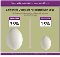 Graphic: Salmonella Outbreaks Associated with Eggs