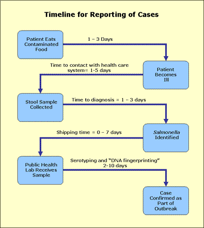 Salmonella Outbreak Investigations: Reporting Timeline