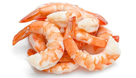 Cooked shrimp over a white background