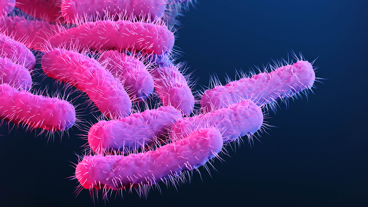 About Shigella Infection | Shigella - Shigellosis | CDC