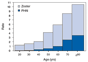 Figure 1: Shingles and Postherpatic Neuralgia rates in people in the United States age 20-80+ years. There has been a gradual but steady increase in incidence of shingles and Postherpatic Neuralgia among each age group.