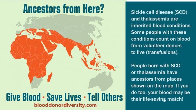 Ancestors from here? Map of the following shaded regions: Africa, Europe, and Southeast Asia. Give blood Save lives Tell others blooddonordiversity.com Sickle cell disease (SCD) and thalassemia are inhertited blood conditions. Some people with these conditions count on blood from volunteer donors to live (transfusions). People born with SCD or thalassemia have ancestors from places shown on the map. If you do too, your blood may be their life-saving match! The map highlights areas in southern Europe, Africa, and Southeast Asia.