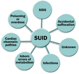SUID possible causes: Poisoning or overdose, SIDS, Accidental suffocation, Unknown, Infections, Inborn errors of metabolism, Cardiac channelopathies.