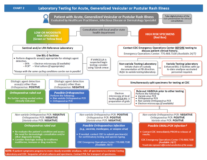 Rash Chart