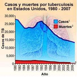 Casos y muertes por tuberculosis en Estados Unidos, 1980 - 2007