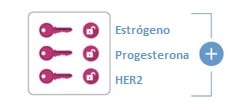 Tres llaves y cerraduras abiertas: estrógeno, progesterona y HER2