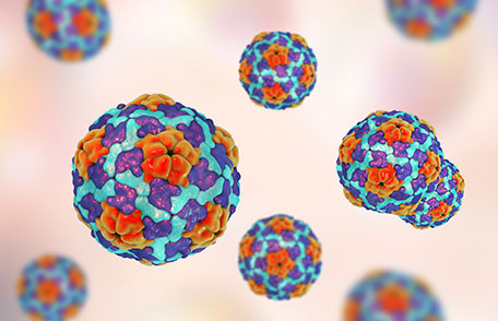 Hepatitis virales y c&#225;ncer de h&#237;gado