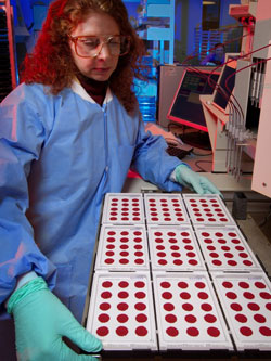 Joanne Mei trabajando con gotas de sangre seca en el laboratorio