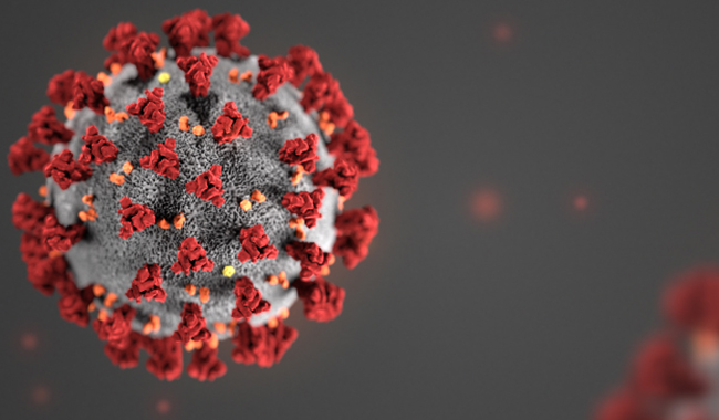 Imagen del coronavirus COVID-19.