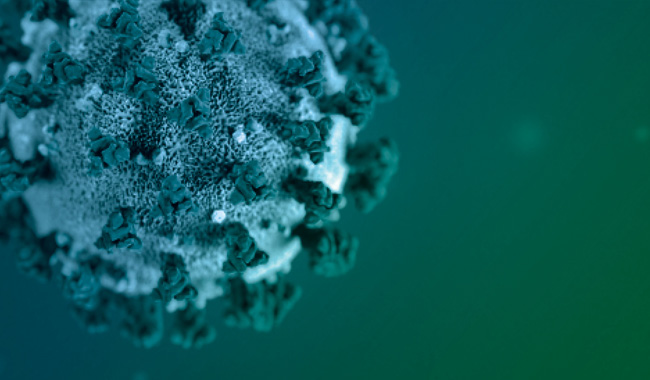Enfermedad del coronavirus 2019 Enfermedad del coronavirus 2019