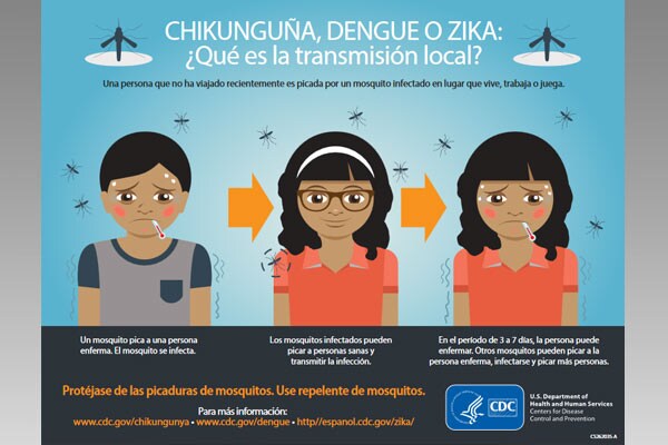 Virus del zika: ¿Qué es la transmisión local?