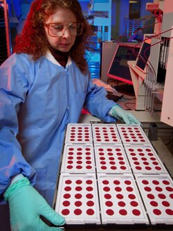 Joanne Mei está trabajando con gotas de sangre seca en el laboratorio.
