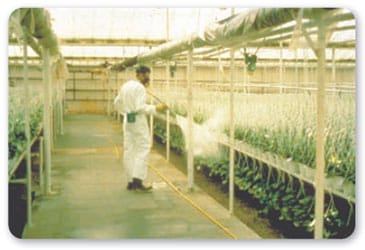 Vista lateral de un trabajador de pie usando ropa y respirador de protección mientras aplica sustancias químicas en plantas colgantes de un invernadero