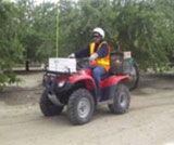 Hombre en un VTT en un huerto