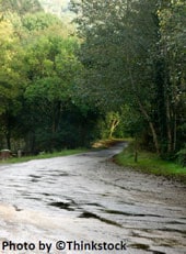 Camino rural con la superficie mojada.