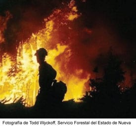 Silueta de un bombero en un incendio forestal