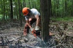 Trabajador forestal que utiliza una motosierra