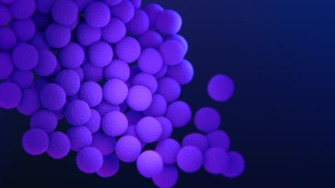 About Staph Food Poisoning | Staph Food Poisoning | CDC