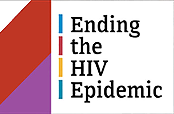 Ending the HIV Epidemic - image from February newsletter