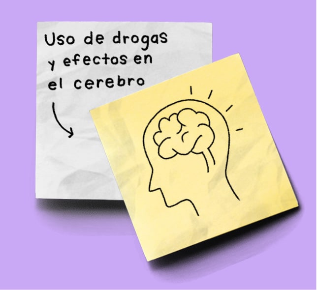 Use de Drogas y efectos en el cerebro