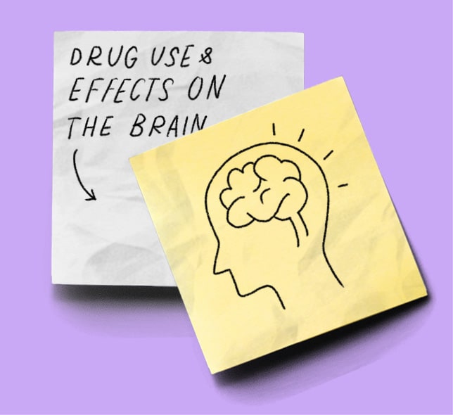Drug Use and Effects on the Brain