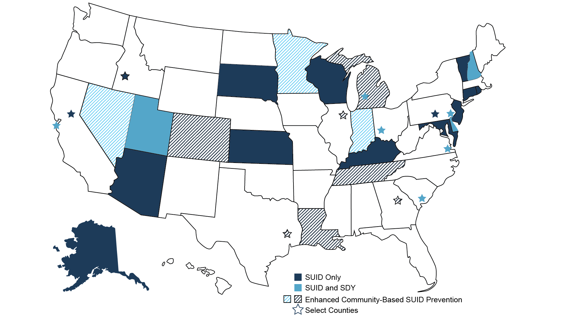 Suid Example SUID and SDY Case Registry | SUID and SIDS | CDC