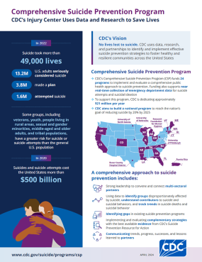 Comprehensive Suicide Prevention Program At a Glance Cover