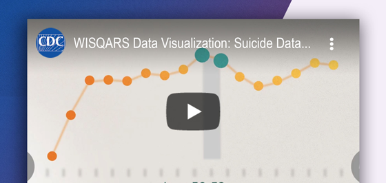 Screenshot of the WISQARS Data Visualization: Suicide Data screen
