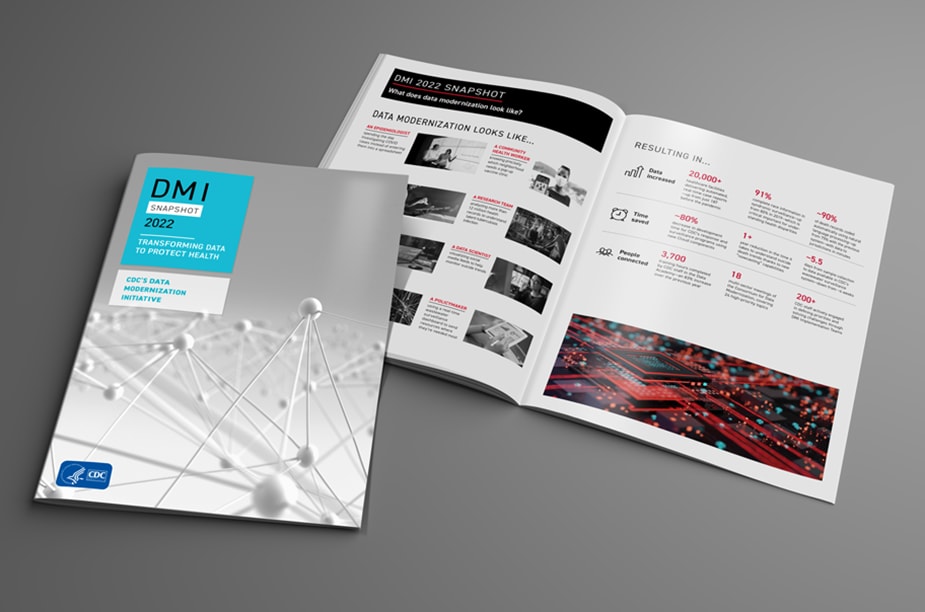 2022 DMI Snapshot visual booklet