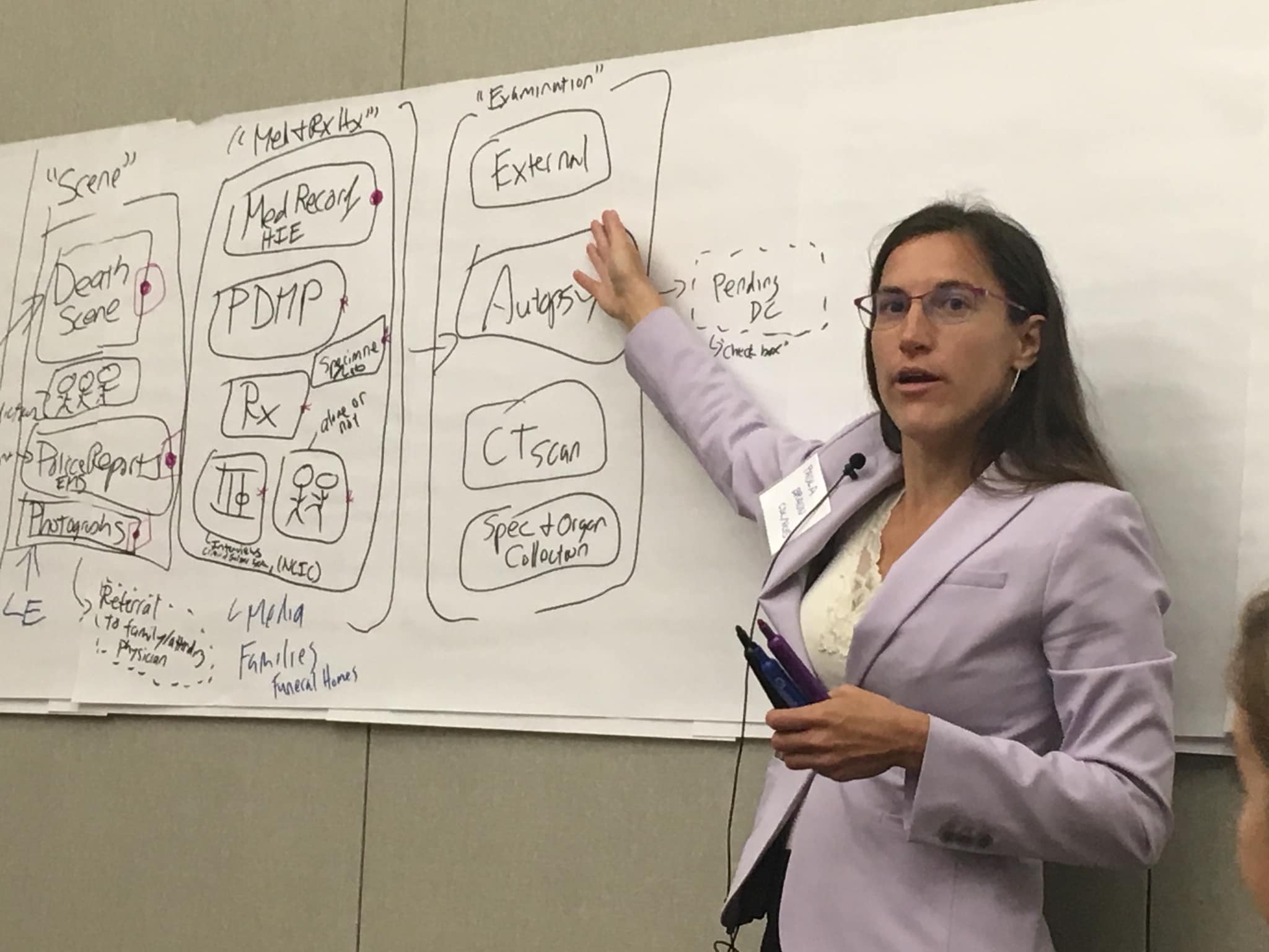 a health care professional giving a presentation and pointing to a flow chart