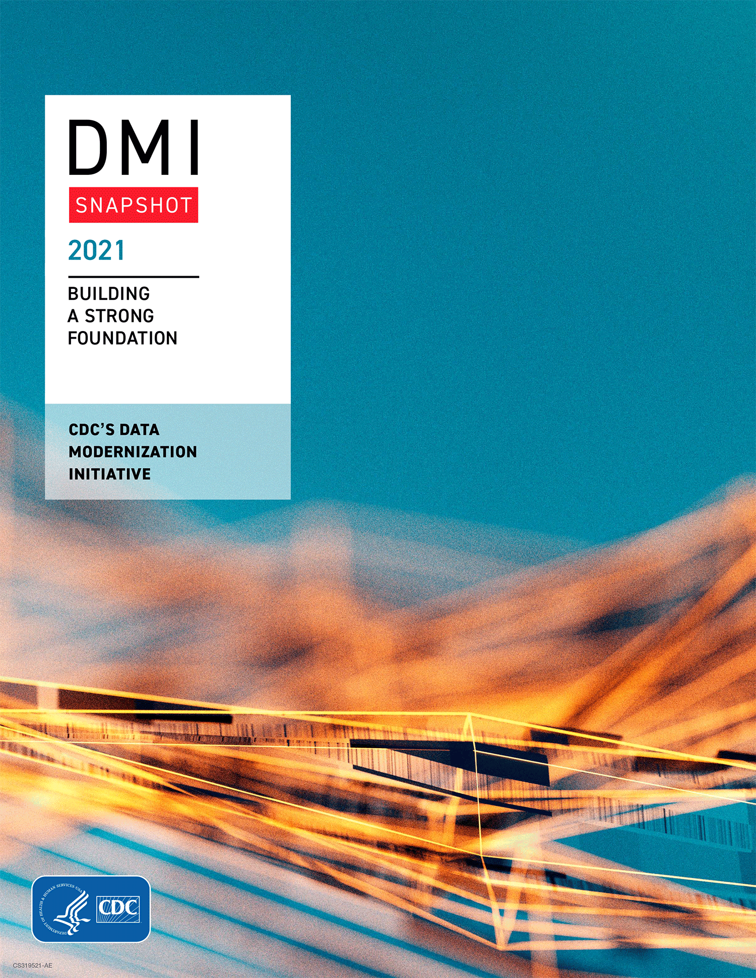 2021 DMI Snapshot cover