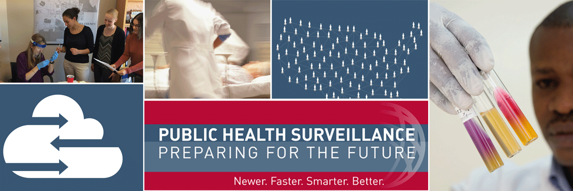 Cover of Public Health Surveillance: Preparing for the Future