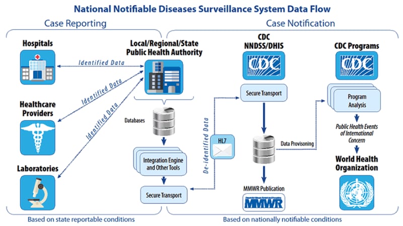the figure depicts the data flow for nationally notifiable diseases