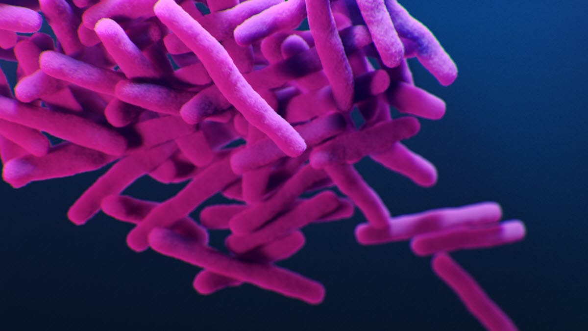 An image of TB bacteria