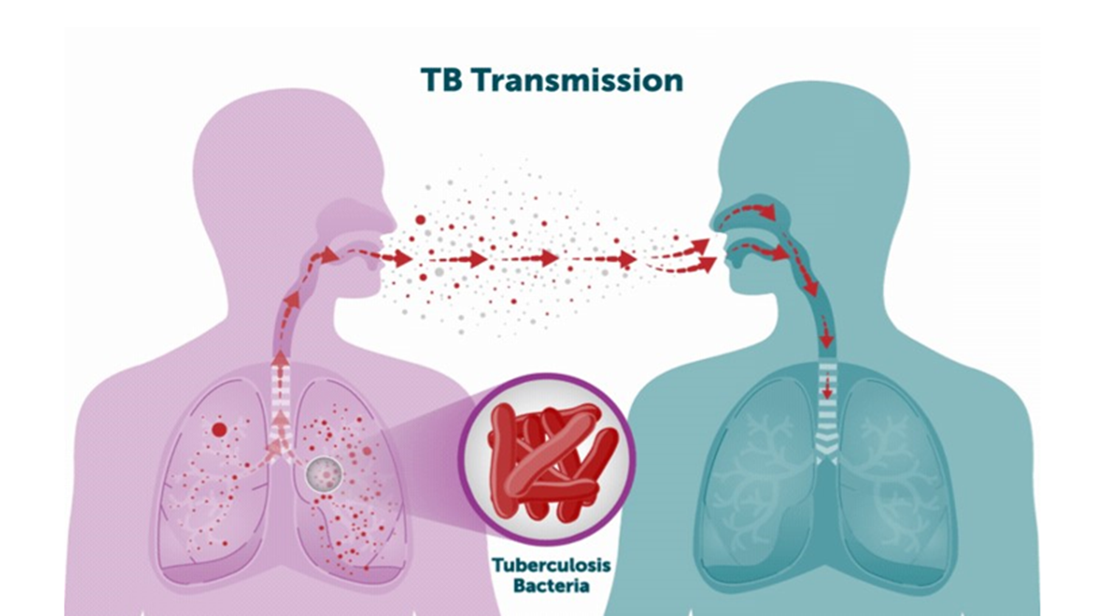 A graphic showing TB germs spreading from one person to another.