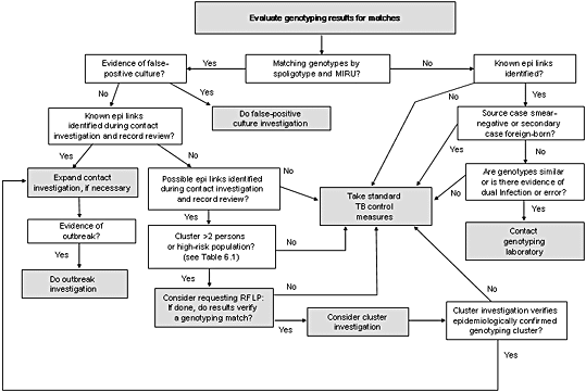 Image: Flow diagram describing the evaluation of genotyping results