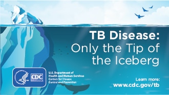 TB-infographics-Banner-Iceberg